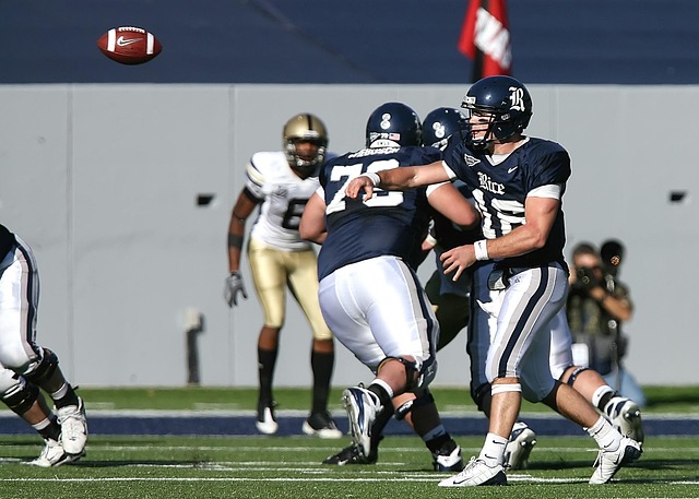 与比赛环境 与比赛环境