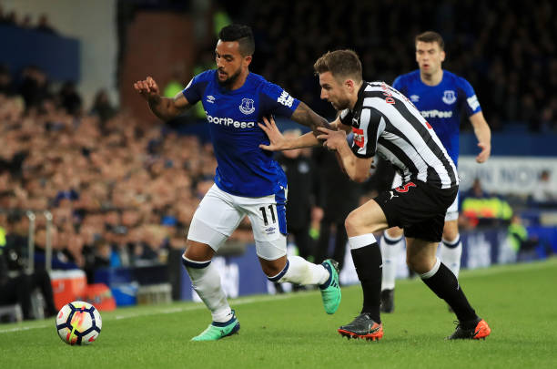 哈维的世界 哈维的世界